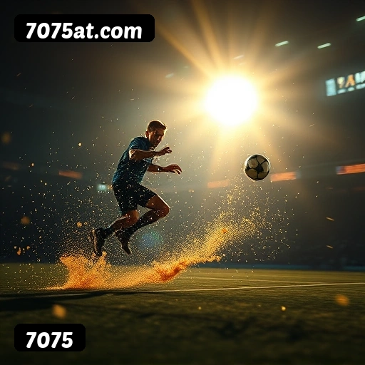 Níveis do programa VIP da 7075